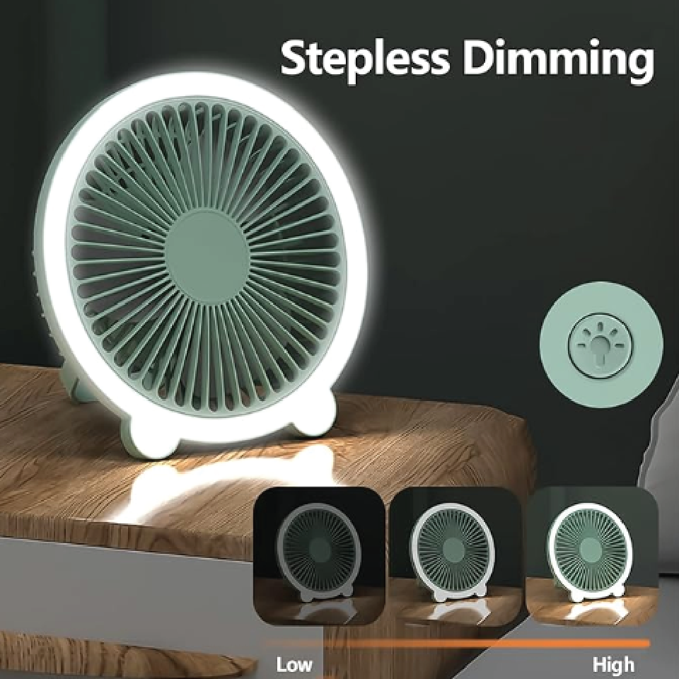 Portable Multifunctional Fan
